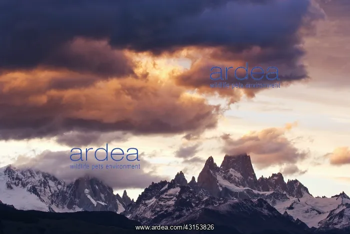 : Mt Fitzroy Range and Cerro Torre at dawn : Mt Fitzroy Range and Cerro Torre at dawn