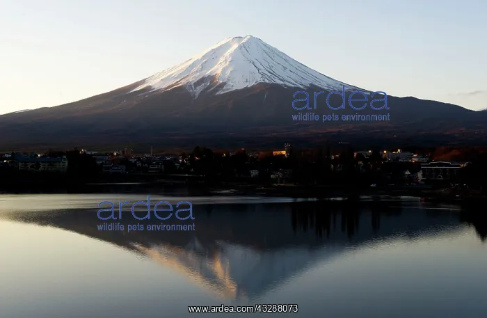 : Mt Fuji : Mt Fuji