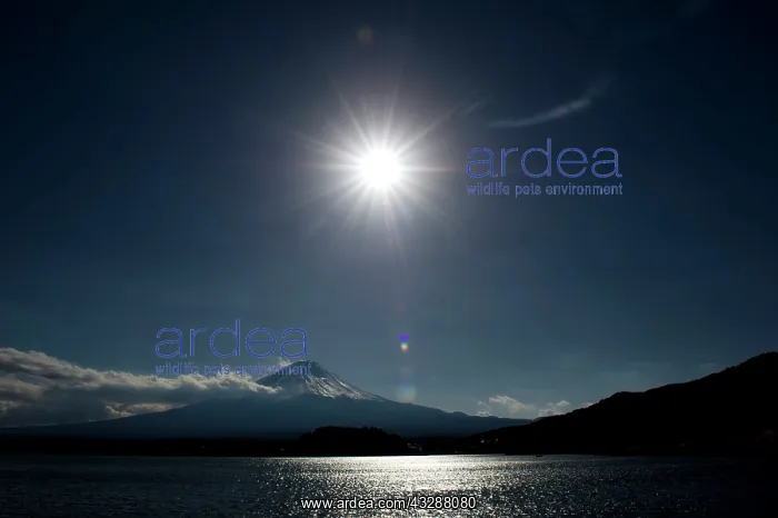 : Mt Fuji : Mt Fuji