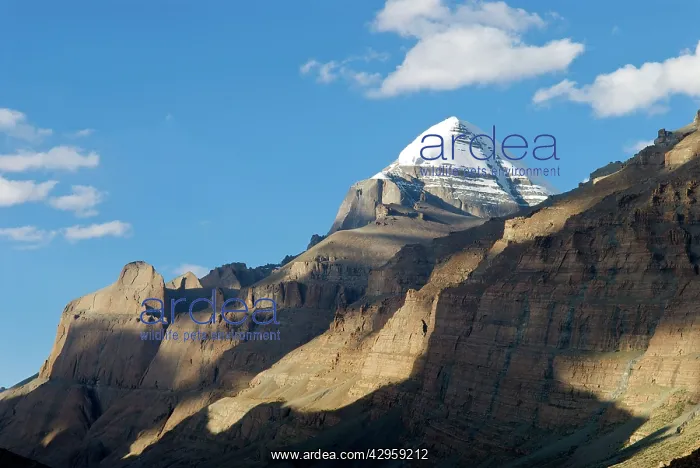  : Mt Kailash - Tibet 6, 675m late afternoon light