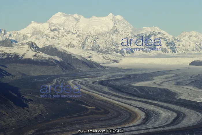 : Mt. Kennedy and Lowell Glacier : Mt. Kennedy and Lowell Glacier
