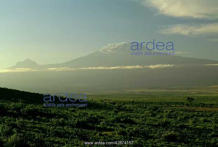  : Mt Kilimanjaro in Tanzania