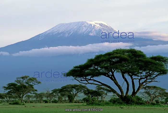  : Mt Kilimanjaro in Tanzania