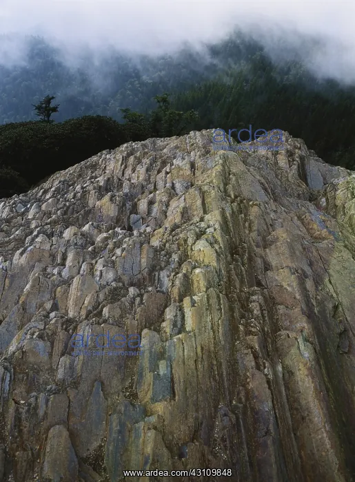 : Mt. Le Conte, Tennessee : Mt. Le Conte, Tennessee