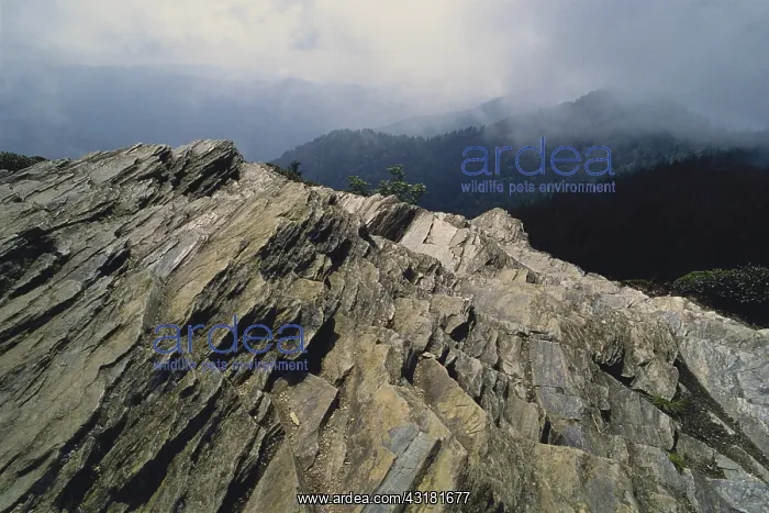 : Mt. Le Conte, Tennessee : Mt. Le Conte, Tennessee