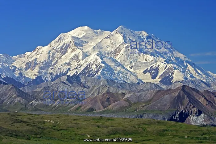 : Mt. McKinley (Denali), Denali National Park, Alaska : Mt. McKinley (Denali), Denali National Park, Alaska