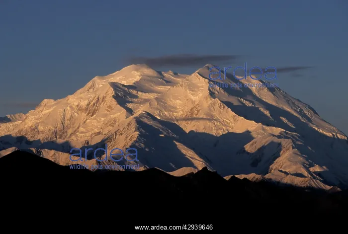 : Mt. McKinley (Denali), Denali National Park, Alaska : Mt. McKinley (Denali), Denali National Park, Alaska