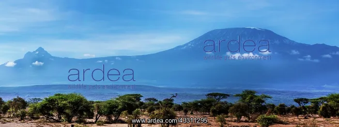 : Mt. Meru (Small) and Mt. Kilmanjaro (Big) as seen : Mt. Meru (Small) and Mt. Kilmanjaro (Big) as seen