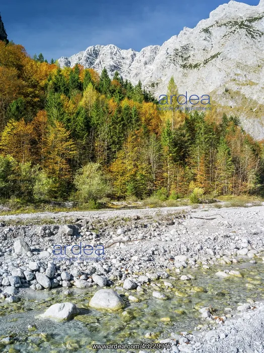 : Mt. Watzmann with the east face during fall : Mt. Watzmann with the east face during fall