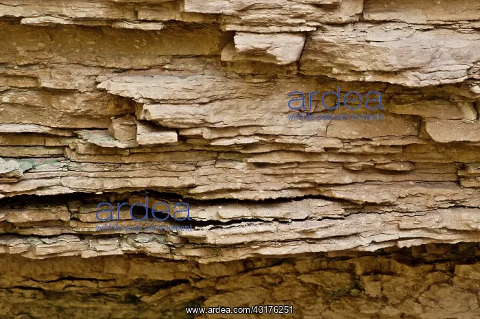 : Muav Limestone in the Grand Canyon, AZ : Muav Limestone in the Grand Canyon, AZ