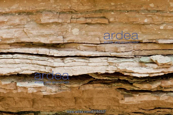 : Muav Limestone in the Grand Canyon, AZ : Muav Limestone in the Grand Canyon, AZ