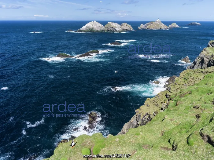 : Muckle Flugga with lighthouse, Hermaness : Muckle Flugga with lighthouse, Hermaness