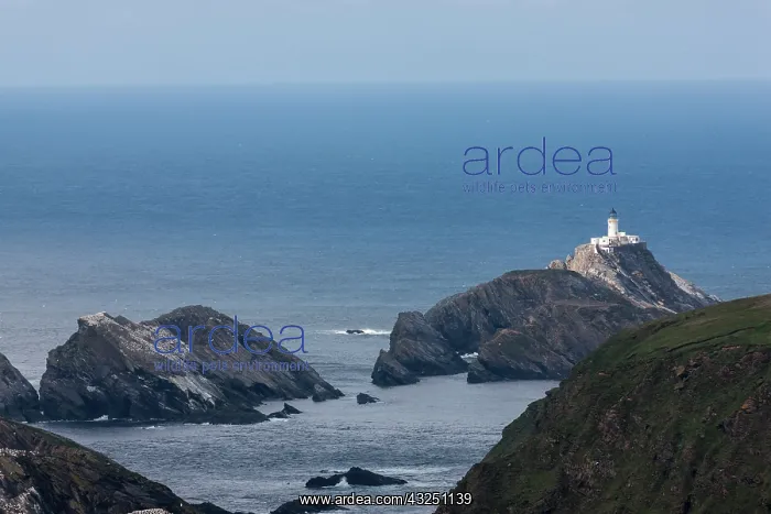 : Muckle Flugga with lighthouse, Hermaness : Muckle Flugga with lighthouse, Hermaness