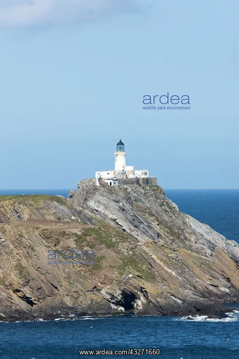 : Muckle Flugga with lighthouse, Hermaness : Muckle Flugga with lighthouse, Hermaness