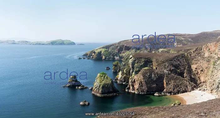: Muckle Roe (big red isle) is famous for : Muckle Roe (big red isle) is famous for