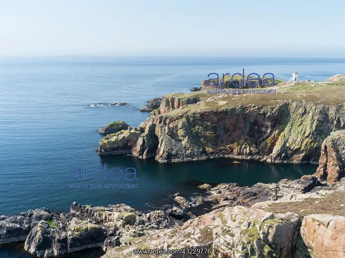 : Muckle Roe (big red isle) is famous for : Muckle Roe (big red isle) is famous for