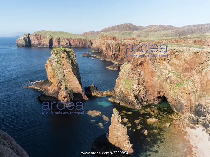 : Muckle Roe (big red isle) is famous for : Muckle Roe (big red isle) is famous for