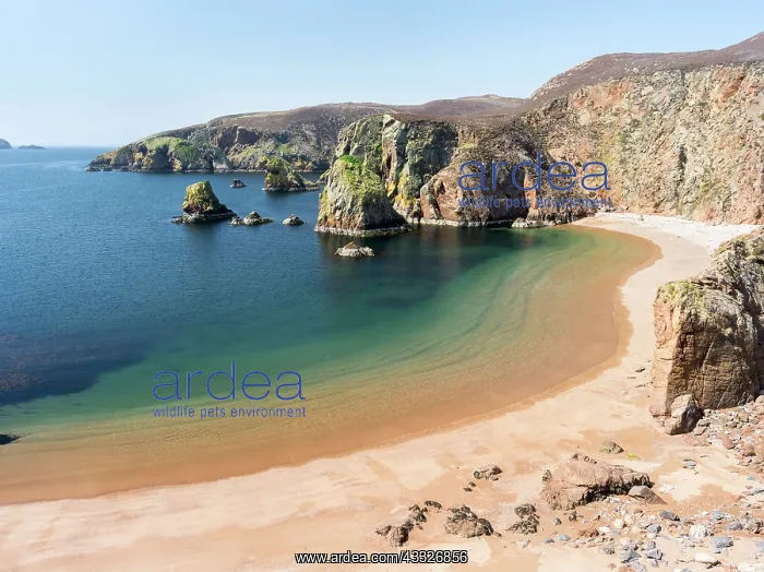 : Muckle Roe (big red isle) is famous for : Muckle Roe (big red isle) is famous for
