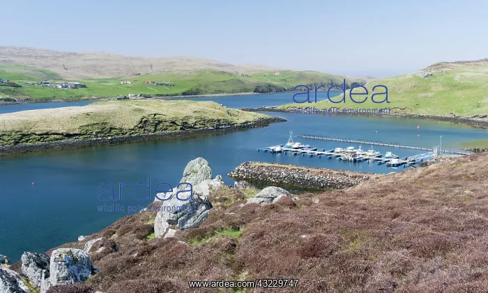  : Muckle Roe, a small island of the Shetland