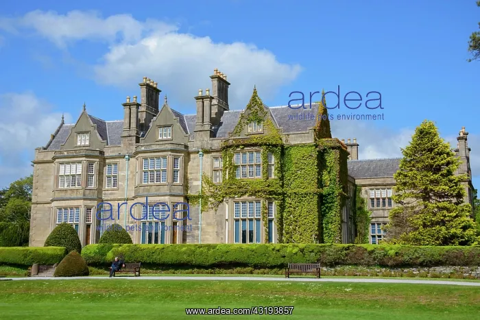 : Muckross House, museum, Killarney National Park : Muckross House, museum, Killarney National Park