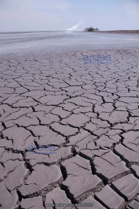 : Mud Lake environmental disaster which developed : Mud Lake environmental disaster which developed
