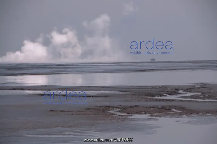 : Mud Lake Geyser environmental disaster which developed : Mud Lake Geyser environmental disaster which developed