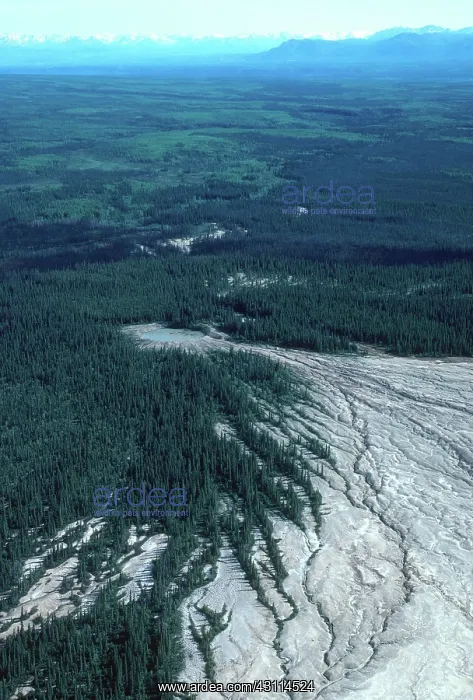 : Mud Volcano, Alaska : Mud Volcano, Alaska