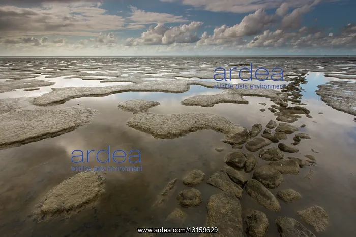 : Mudflats and a rock jetty in the waddensea at low tide : Mudflats and a rock jetty in the waddensea at low tide