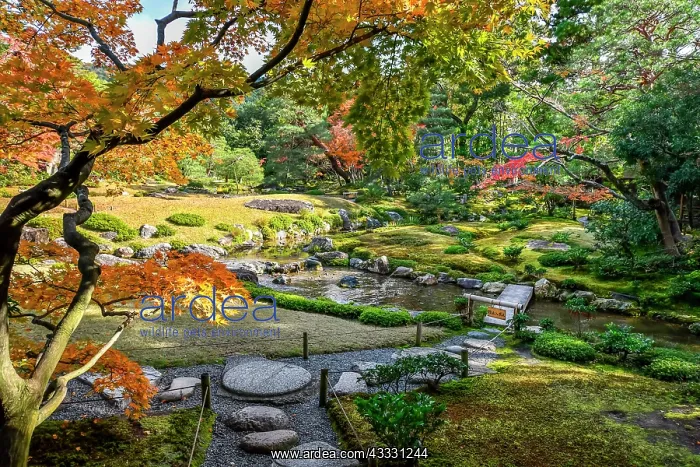 : Muirin-an garden in Kyoto, Japon : Muirin-an garden in Kyoto, Japon