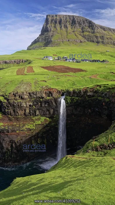 : Mulafossur, waterfall and village view, Faroe Islands : Mulafossur, waterfall and village view, Faroe Islands