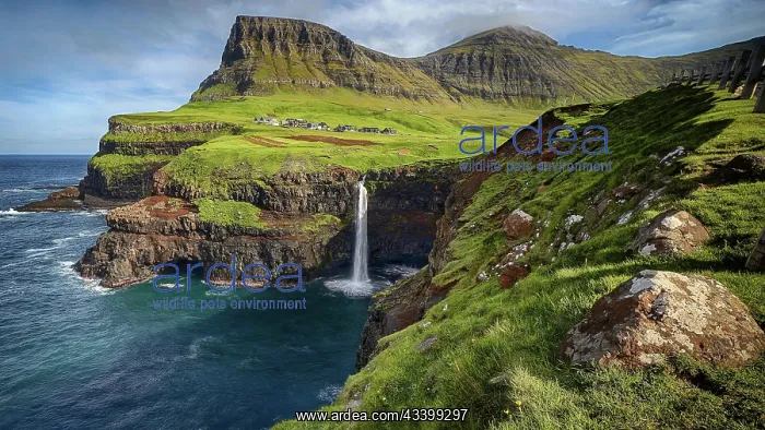 : Mulafossur, waterfall and village view, Faroe Islands : Mulafossur, waterfall and village view, Faroe Islands