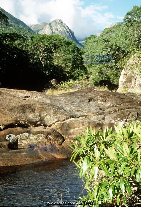 : Mulanje Plateau from Likhubula Pools : Mulanje Plateau from Likhubula Pools