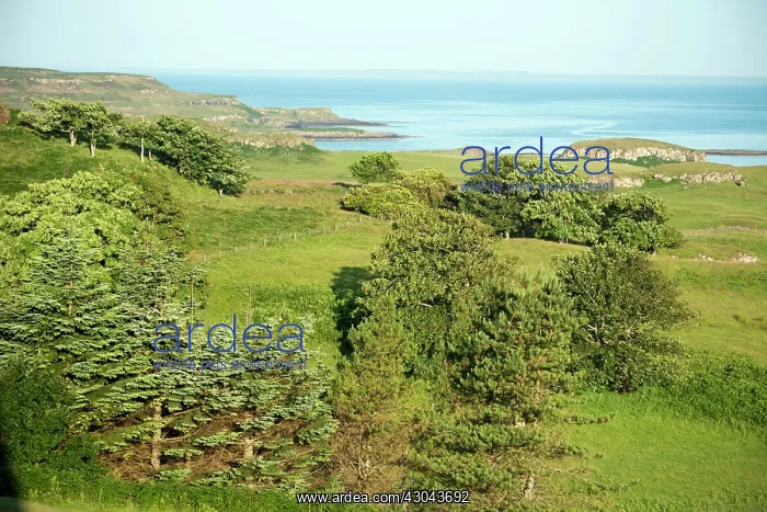  : Mull coastline Scenic view of coast