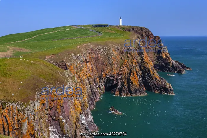 : Mull of Galloway - coastal scenery including Mull : Mull of Galloway - coastal scenery including Mull