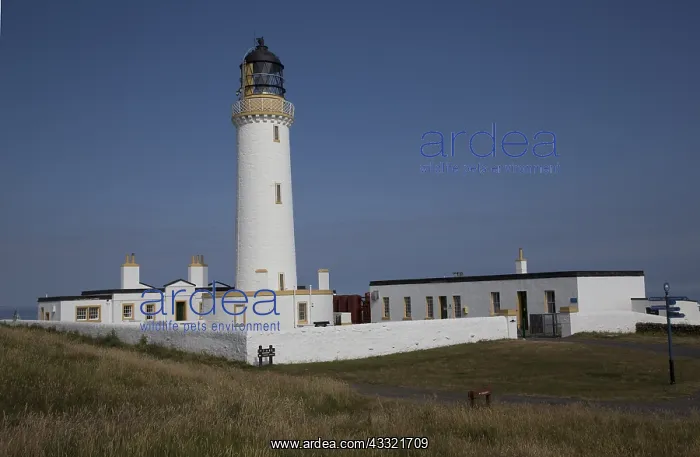: Mull of Galloway lighthouse against blue sky, Drumore : Mull of Galloway lighthouse against blue sky, Drumore