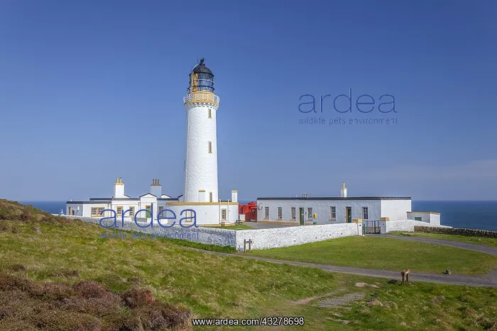 : Mull of Galloway lighthouse - Mull of Galloway headland : Mull of Galloway lighthouse - Mull of Galloway headland