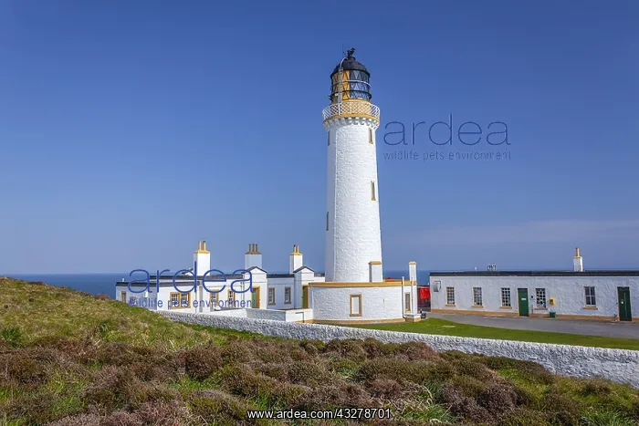 : Mull of Galloway lighthouse - Mull of Galloway headland : Mull of Galloway lighthouse - Mull of Galloway headland