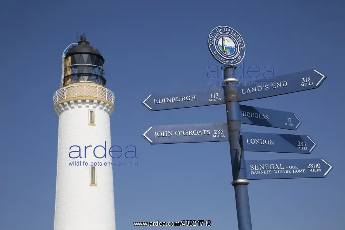 : Mull of Galloway lighthouse and signpost, against : Mull of Galloway lighthouse and signpost, against