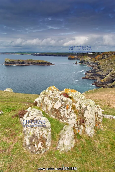 : Mullion Cliffs - view towards Porthleven : Mullion Cliffs - view towards Porthleven