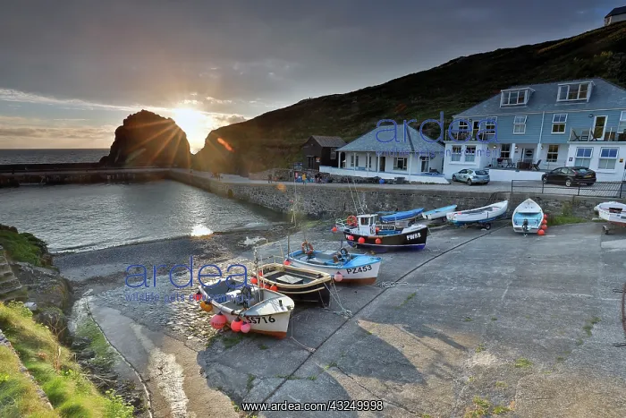  : Mullion Harbour - Cornwall - UK