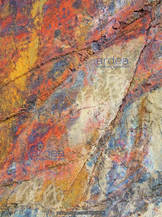  : Multi-coloured sedimentary rock in the Panamint