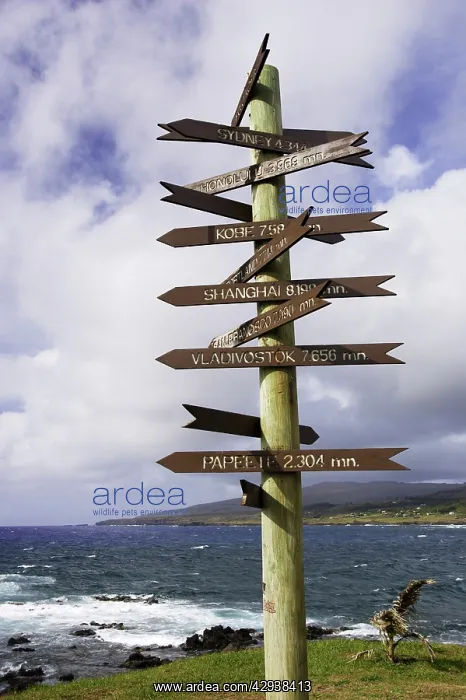 : Multi-destination signpost at Hanga Roa, Easter : Multi-destination signpost at Hanga Roa, Easter