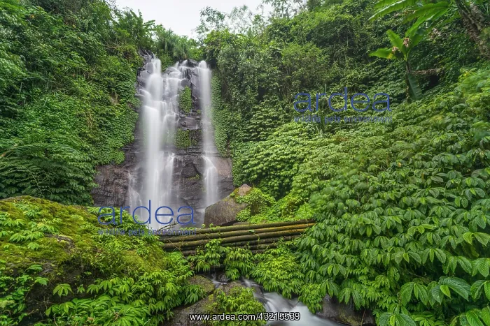  : Munduk waterfall in jungle, Munduk, Bali, Indonesia