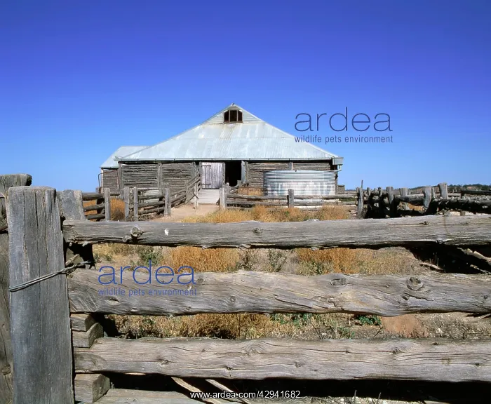 : The Mungo woolshed.c. 1869, Mungo National Park : The Mungo woolshed.c. 1869, Mungo National Park