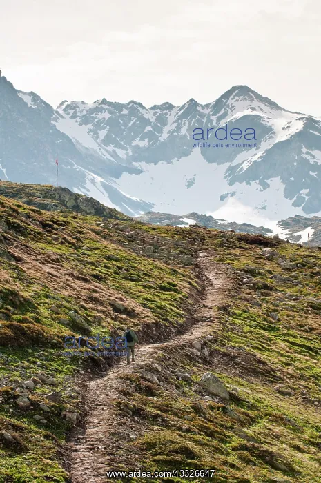: Muottas Muragl, Switzerland. Hiking atop : Muottas Muragl, Switzerland. Hiking atop