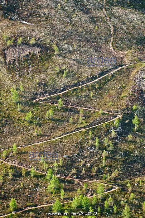 : Muottas Muragl, Switzerland. Hiking trails : Muottas Muragl, Switzerland. Hiking trails