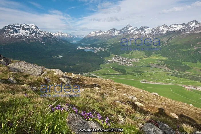 : Muottas Muragl, Switzerland. Views of Celerina : Muottas Muragl, Switzerland. Views of Celerina