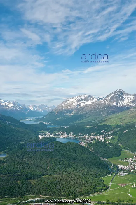 : Muottas Muragl, Switzerland. Views of St : Muottas Muragl, Switzerland. Views of St