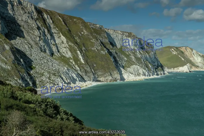 : Mupe Bay, looking eastwards across Worbarrow Bay : Mupe Bay, looking eastwards across Worbarrow Bay