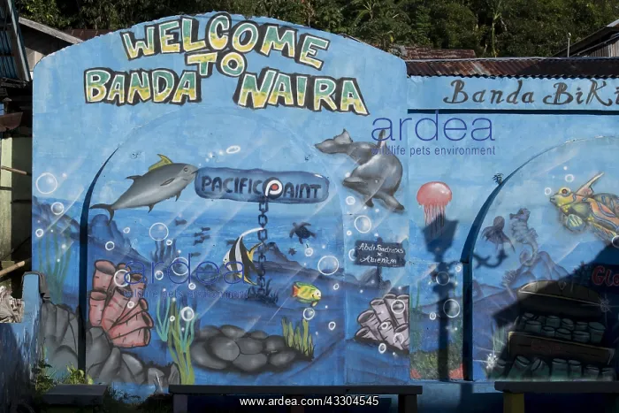 : Mural - Colourful underwater sealife mural to welcome : Mural - Colourful underwater sealife mural to welcome